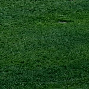 Meet your Posher, Mohammad sadiq